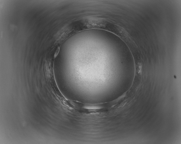 X0000081290915200701111354