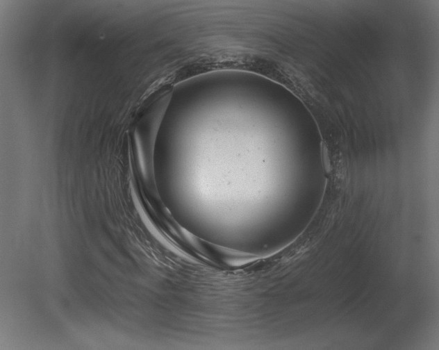 X0000081290916200701111354