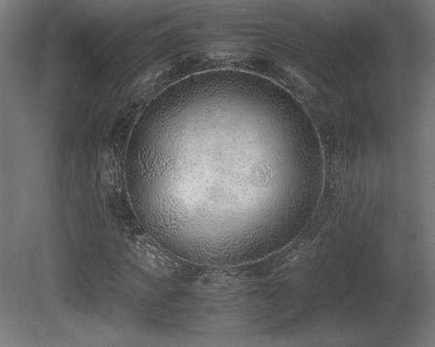 X0000081290917200701111354