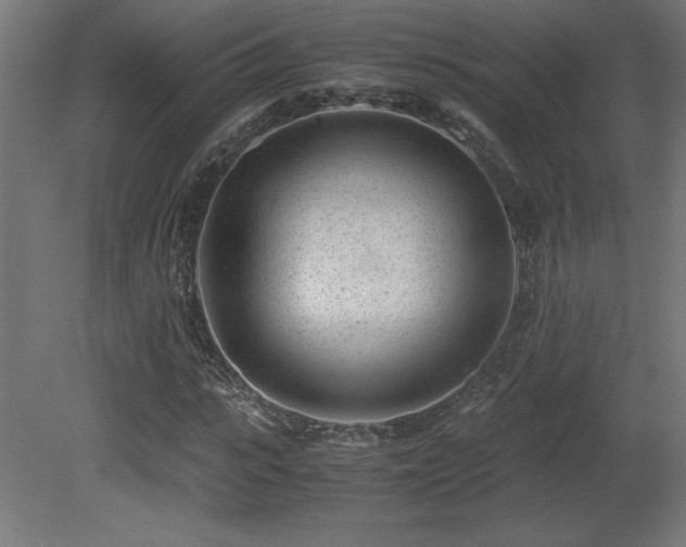 X0000081290919200701111354
