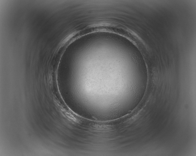 X0000081290921200701111354