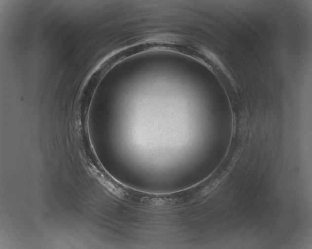 X0000081290923200701111354