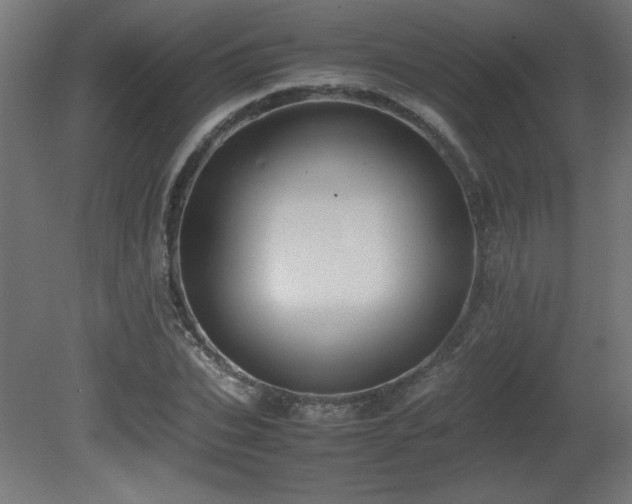 X0000081290927200701111354