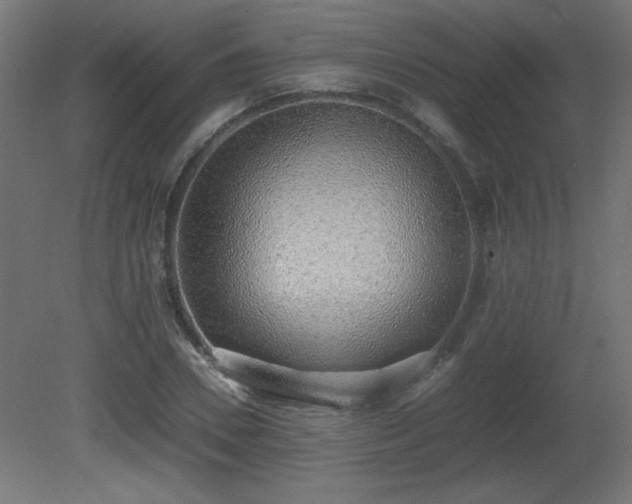 X0000081290930200701111355