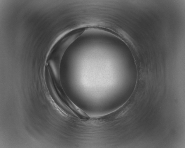 X0000081290932200701111355