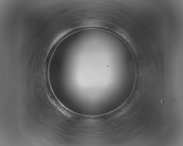 X0000081290933200701111355