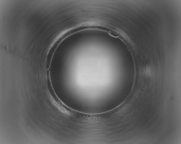 X0000081290934200701111355