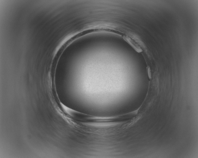 X0000081290936200701111355
