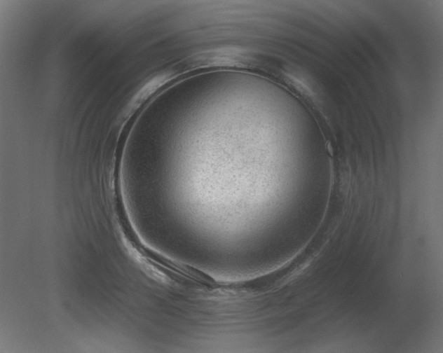 X0000081290938200701111355