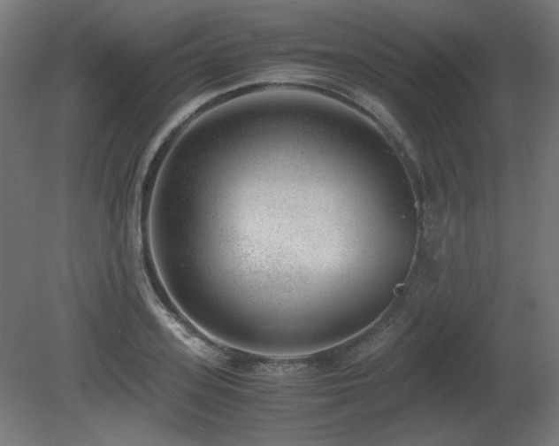 X0000081290939200701111355