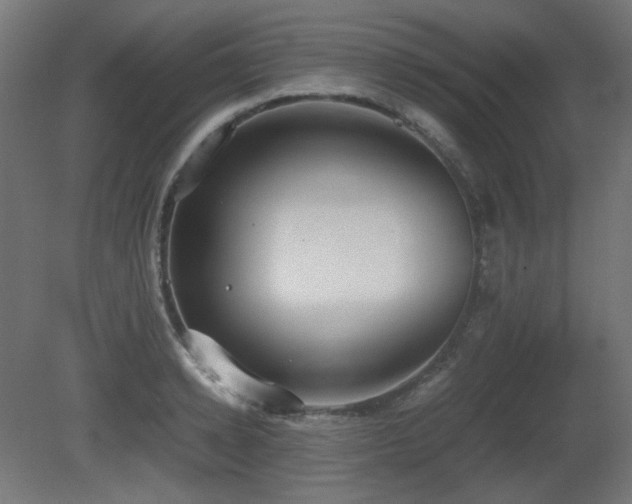 X0000081290942200701111355
