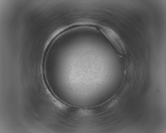 X0000081290943200701111355