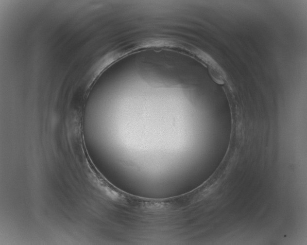 X0000081290945200701111355