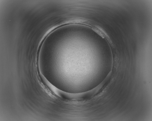 X0000081290948200701111355