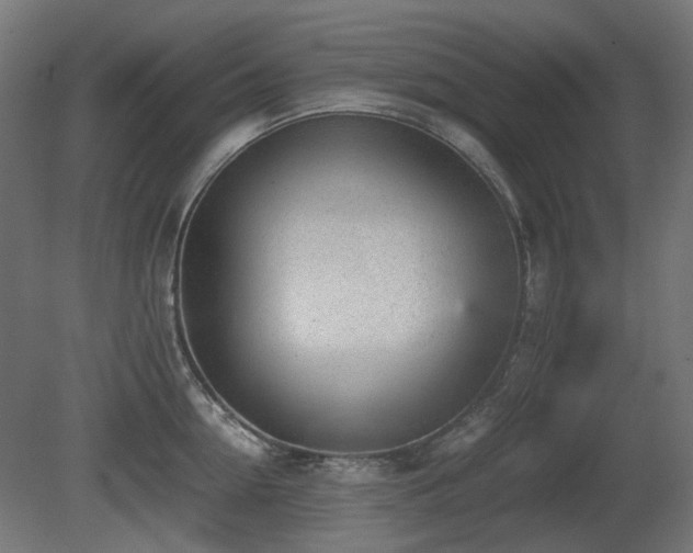 X0000081290954200701111355