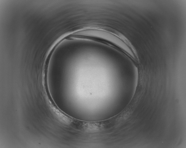 X0000081290955200701111355