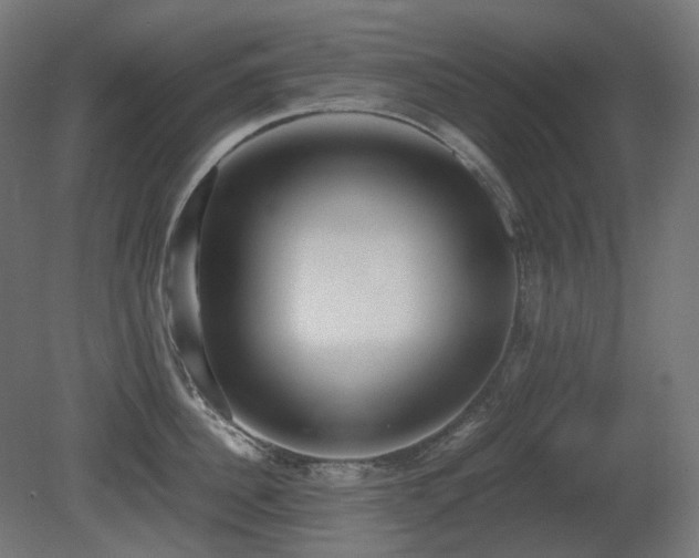 X0000081290956200701111355