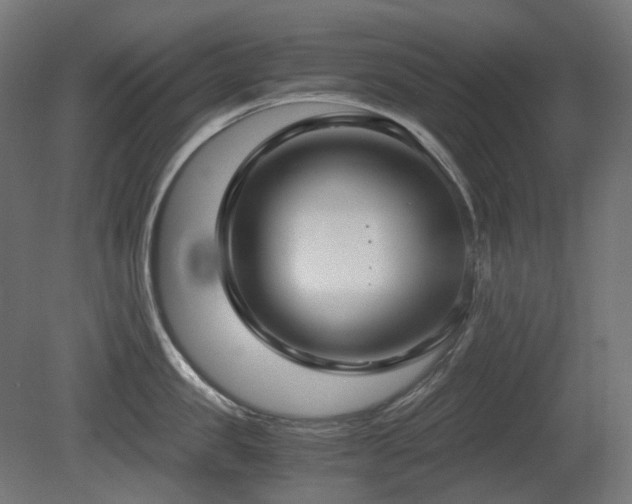 X0000081290957200701111355