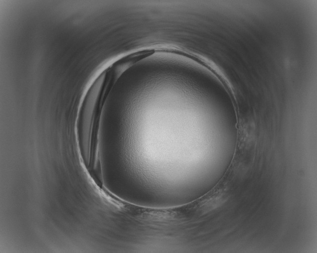 X0000081290959200701111355