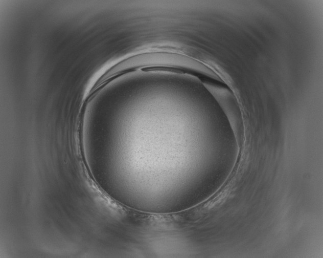 X0000081290960200701111355