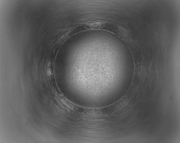 X0000081290962200701111354