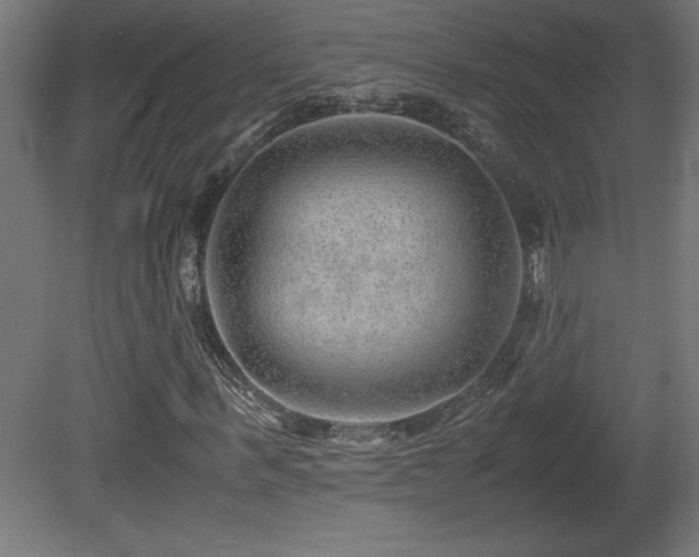X0000081290963200701111354