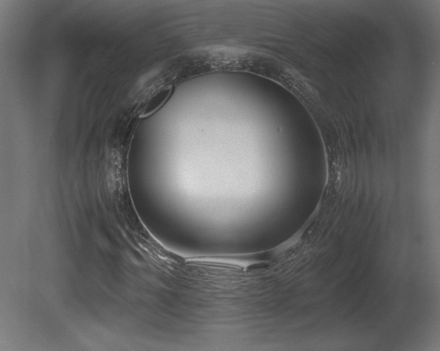 X0000081290964200701111354