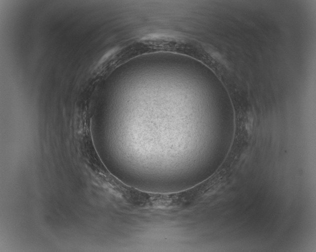 X0000081290965200701111354