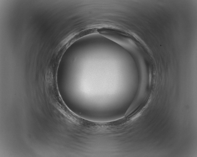 X0000081290969200701111354