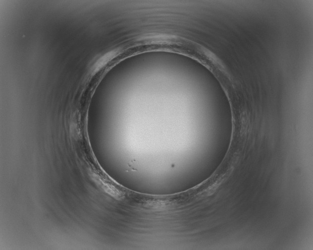 X0000081290970200701111354