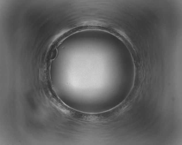 X0000081290971200701111354