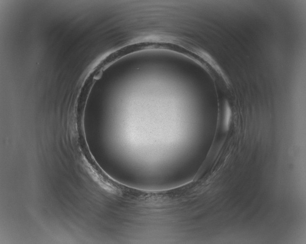 X0000081290972200701111354