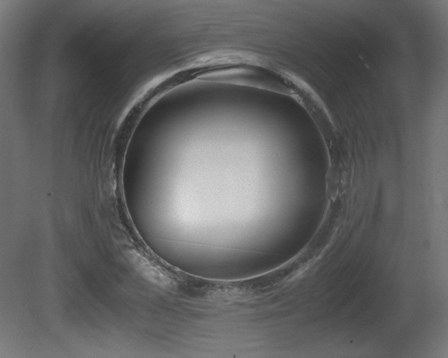 X0000081290973200701111354