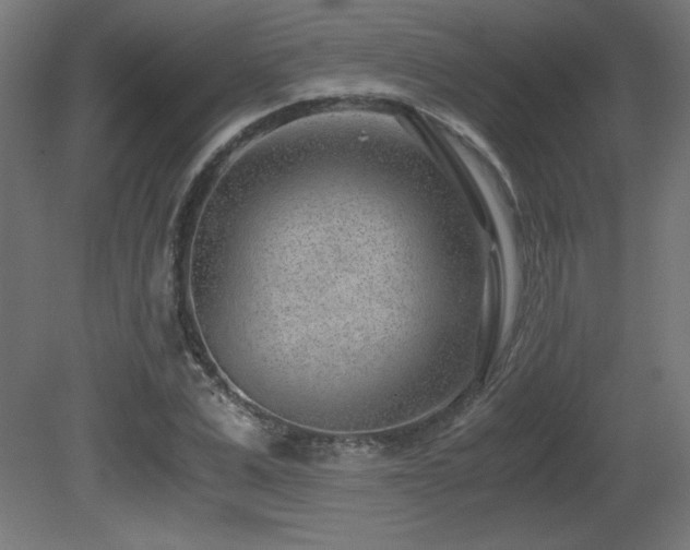 X0000081290975200701111354