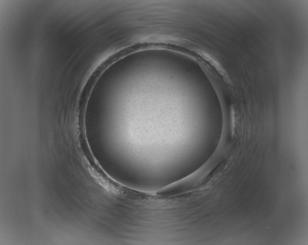 X0000081290976200701111354