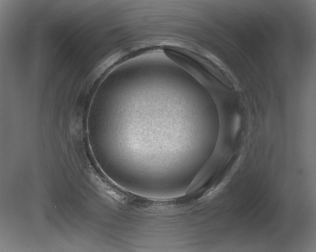 X0000081290977200701111354
