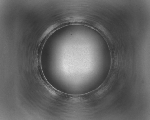 X0000081290978200701111354