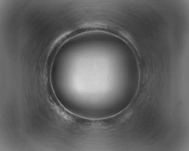 X0000081290979200701111354