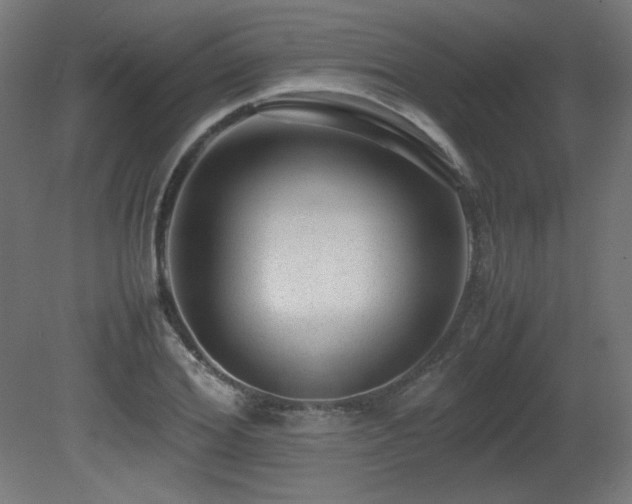 X0000081290980200701111354