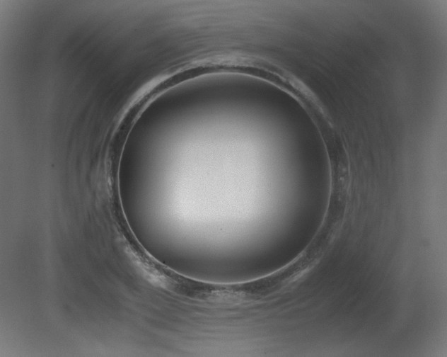 X0000081290981200701111354