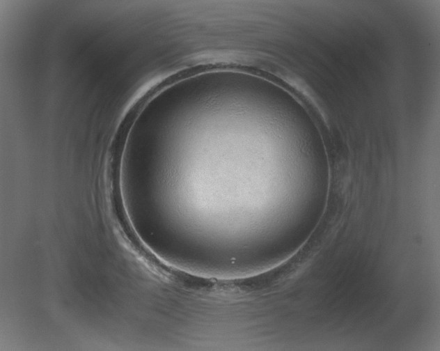 X0000081290983200701111354