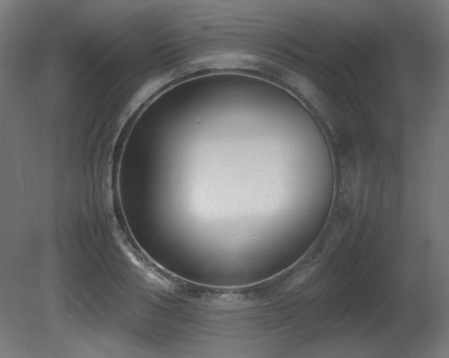 X0000081290986200701111354