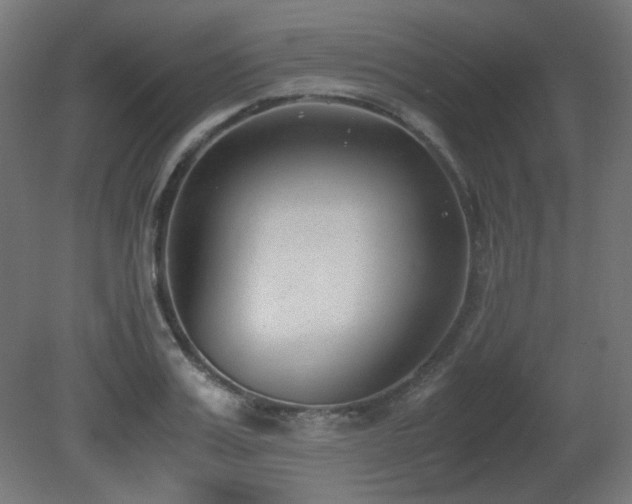 X0000081290987200701111354