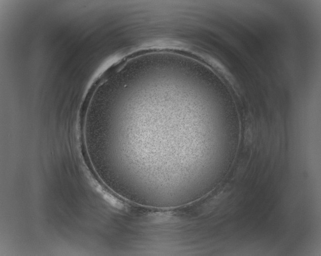 X0000081290990200701111354
