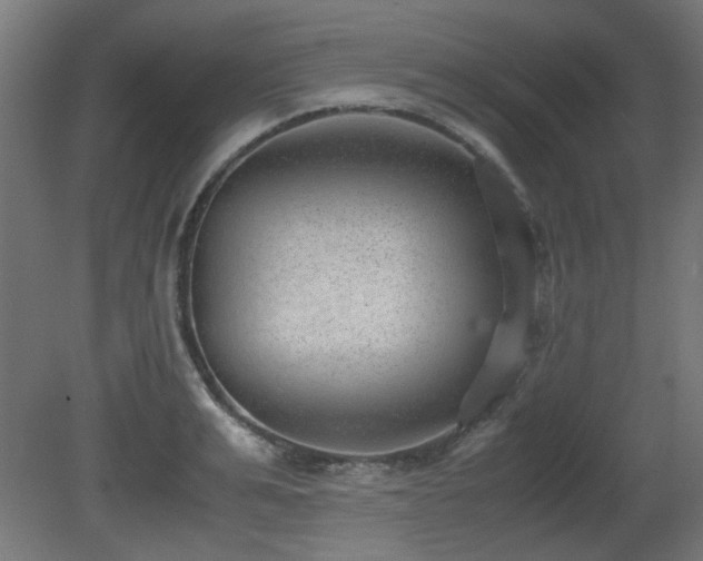 X0000081290991200701111354