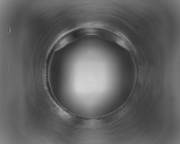 X0000081290992200701111354