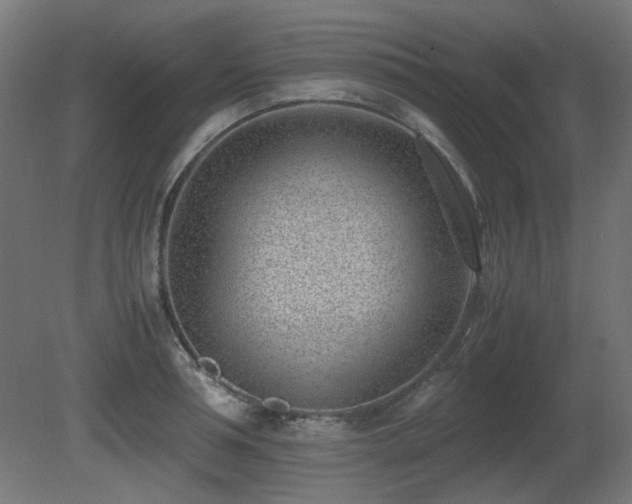 X0000081290994200701111354
