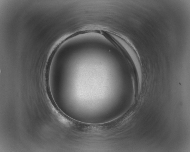 X0000081290995200701111354