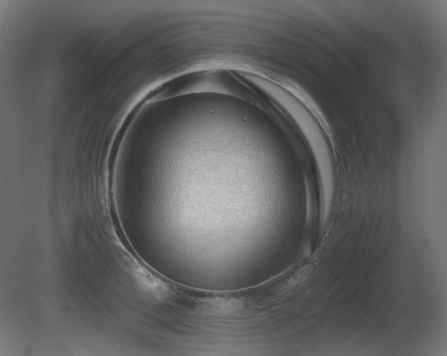 X0000081290996200701111354