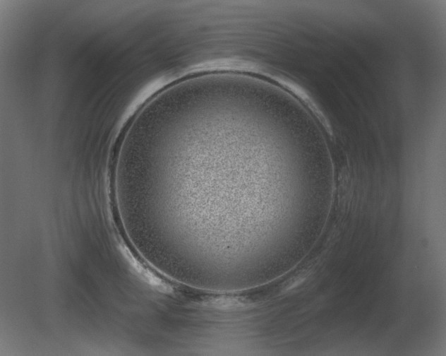 X0000081290998200701111354